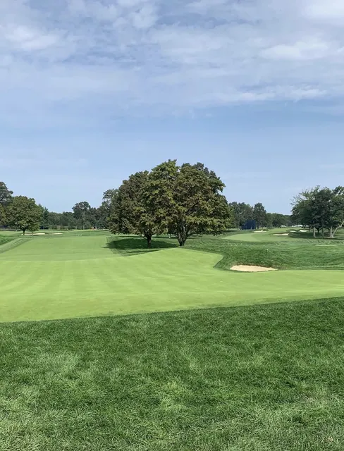Parkland golf hole with a large solitary tree in front of the green and white sand bunkers
