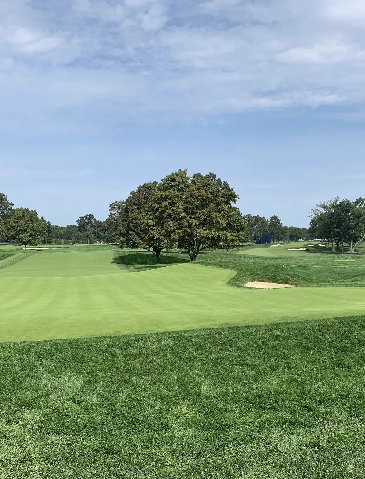 Parkland golf hole with a large solitary tree in front of the green and white sand bunkers
