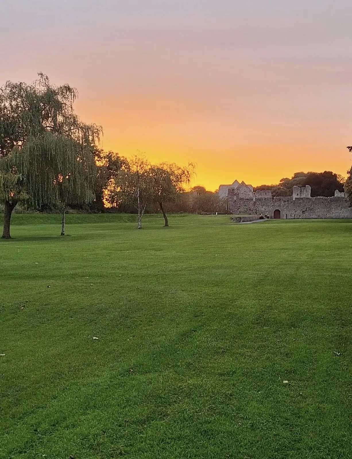 Golden sunset behind willow trees and the medieval castle ruins on the parkland at Adare