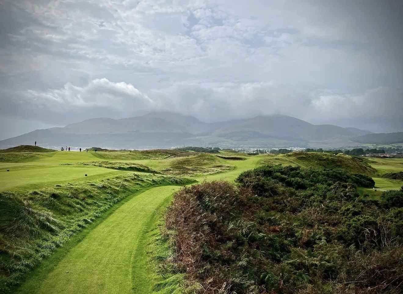 Links golf fairway between dunes at Royal County Down with the Mourne Mountains behind Newcastle, Northern Ireland